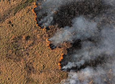 aerial view of a forest fire