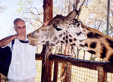 old photograph of Professor Ian Burton feeding a giraffe