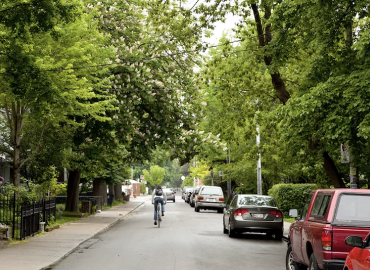 Street trees unequally distributed across Canada, study finds